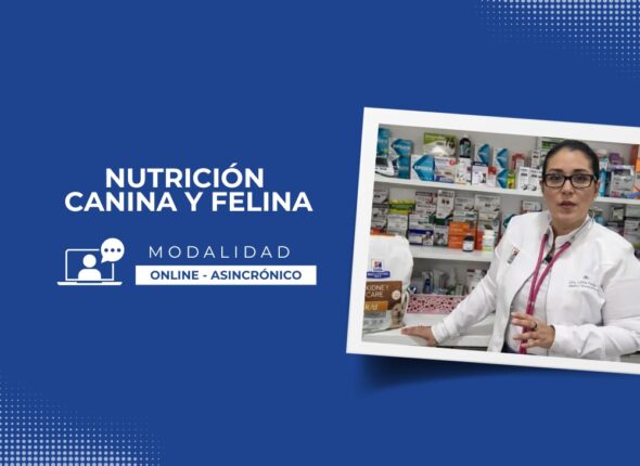 Nutrición Online