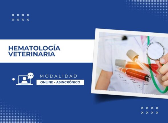 Hematologia