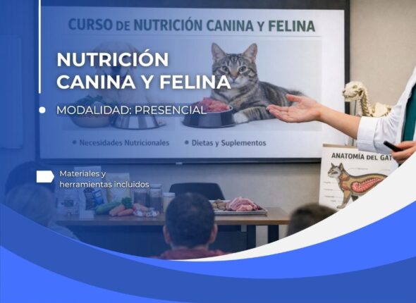 Nutricion Presencial